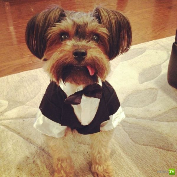 �������� ��������, ����� 6 (45 ����)