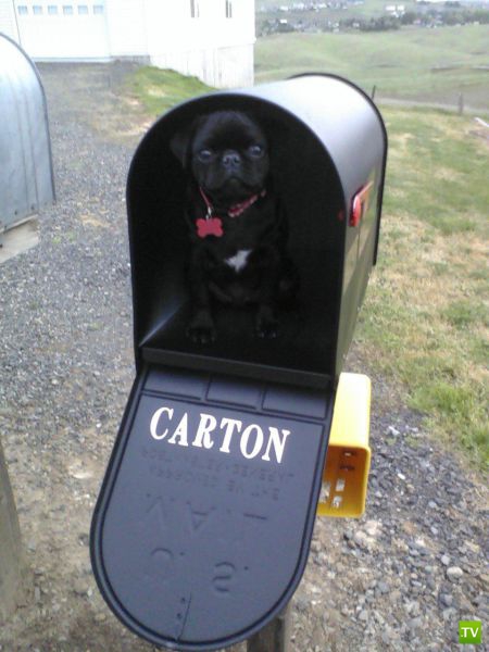 �������� ��������, ����� 6 (45 ����)