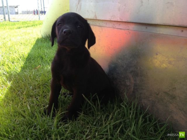 �������� ��������, ����� 6 (45 ����)