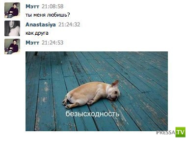 ����������� �������, ����� 7 (43 ����)