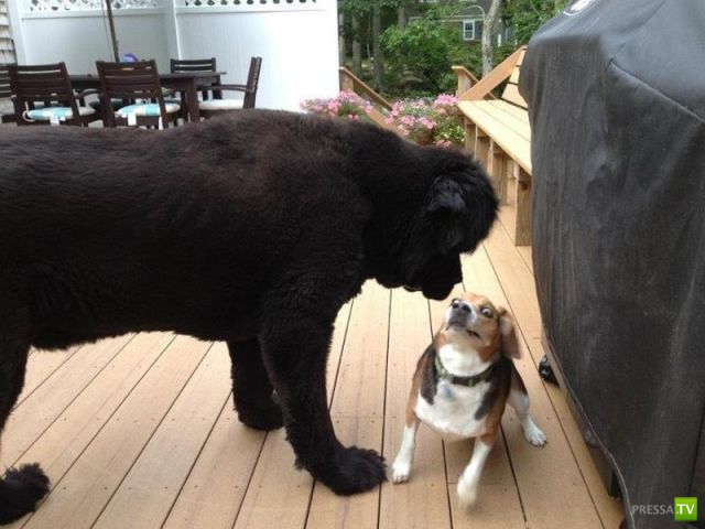 �������� ��������, ����� 7 (40 ����)