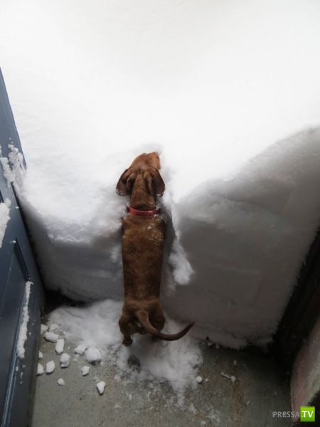 �������� ��������, ����� 7 (40 ����)