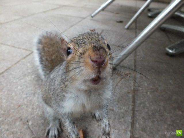 �������� ��������, ����� 7 (40 ����)