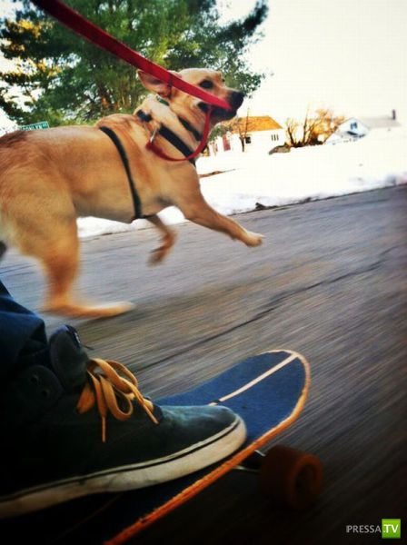 �������� ��������, ����� 7 (40 ����)