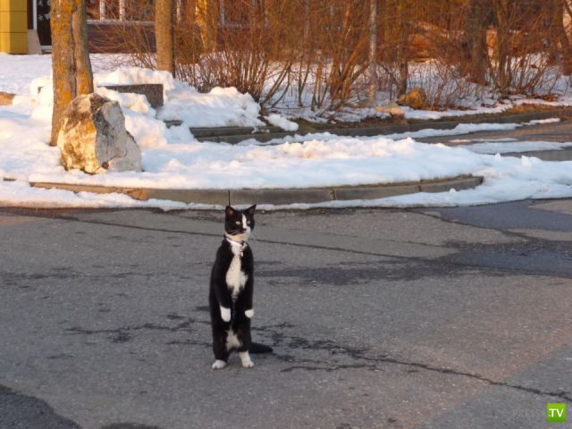 �������� ��������, ����� 7 (40 ����)