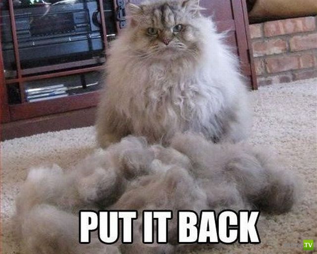 �������� ��������, ����� 7 (40 ����)