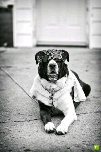 �������� ��������, ����� 7 (40 ����)