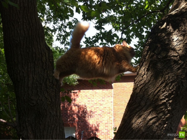 �������� ��������, ����� 7 (40 ����)