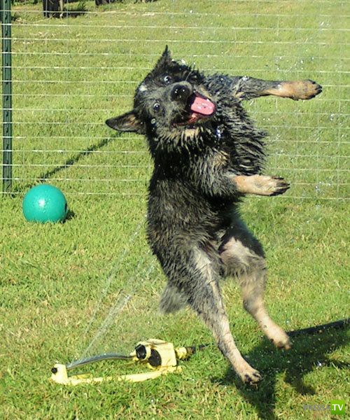 �������� ��������, ����� 7 (40 ����)