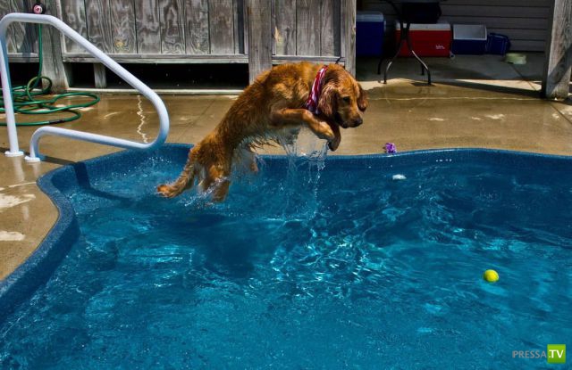 �������� ��������, ����� 7 (40 ����)