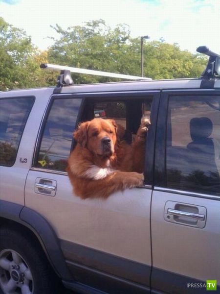 �������� ��������, ����� 7 (40 ����)