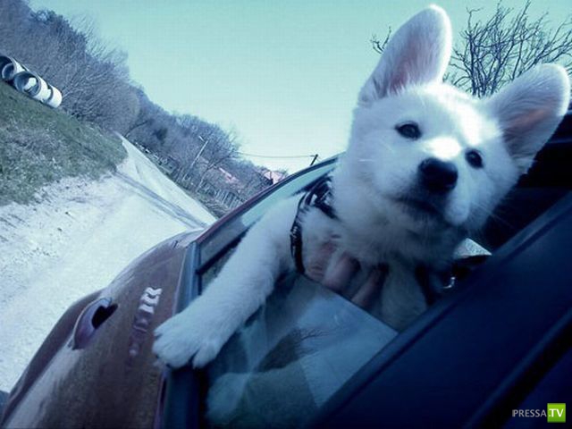 �������� ��������, ����� 7 (40 ����)