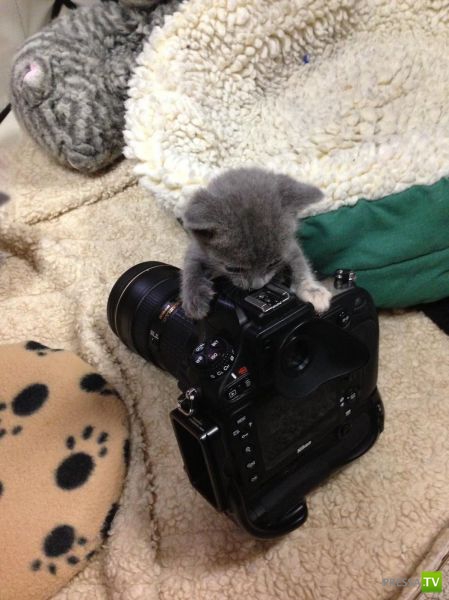 �������� ��������, ����� 7 (40 ����)