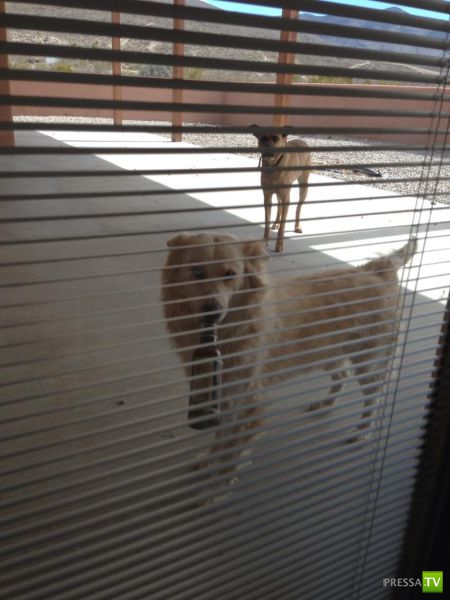 �������� ��������, ����� 7 (40 ����)