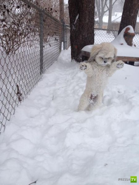 �������� ��������, ����� 7 (40 ����)