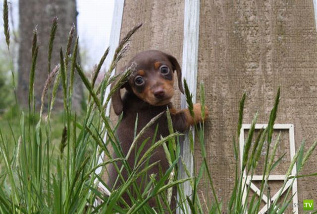 �������� ��������, ����� 7 (40 ����)