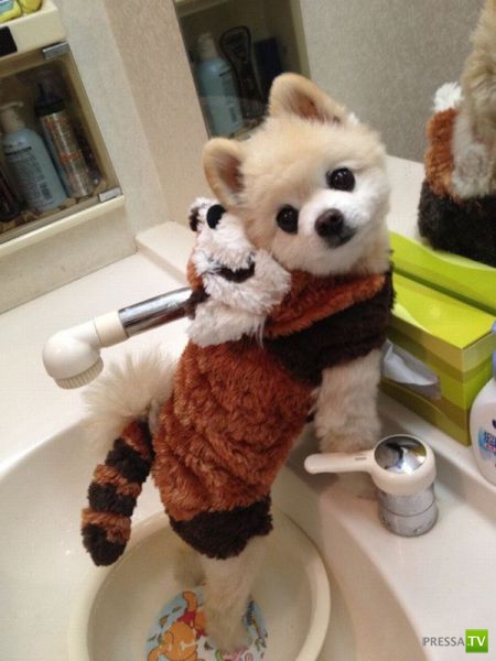 �������� ��������, ����� 7 (40 ����)