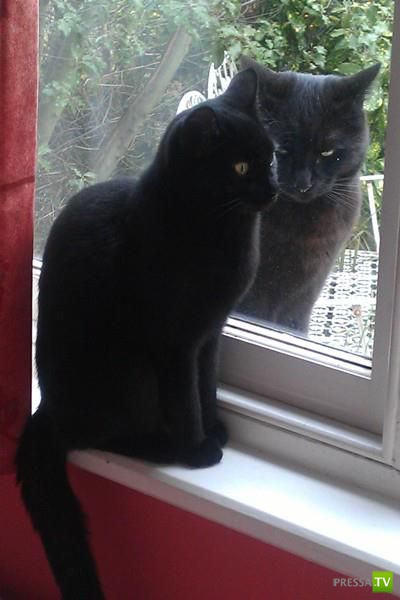 �������� �������� ����� � �������� �������� (45 ����)