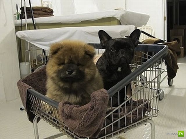 �������� �������� ����� � �������� �������� (45 ����)