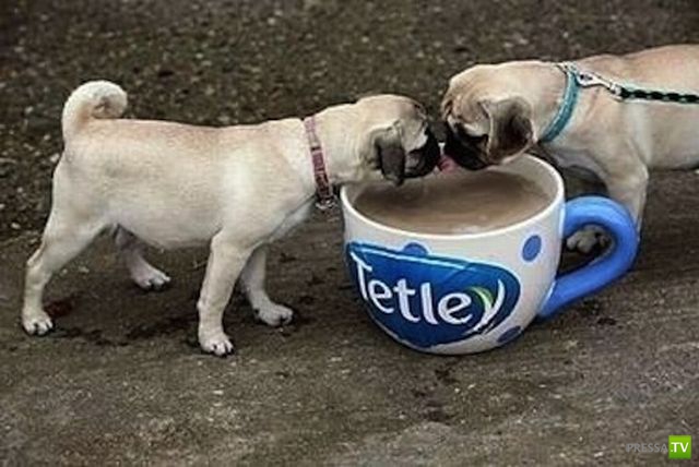 �������� �������� ����� � �������� �������� (45 ����)