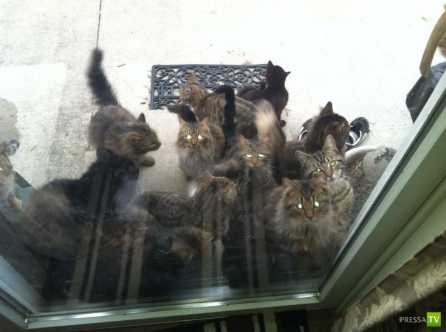 �������� �������� ����� � �������� �������� (45 ����)