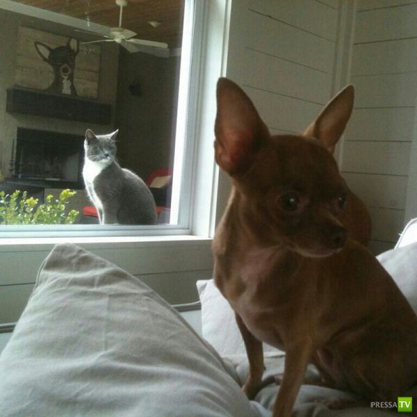 �������� �������� ����� � �������� �������� (45 ����)