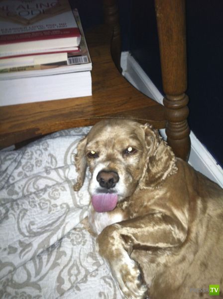 �������� �������� ����� � �������� �������� (45 ����)