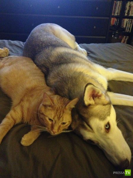 �������� �������� ����� � �������� �������� (45 ����)