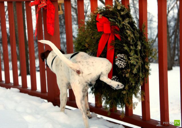 �������� �������� ����� � �������� �������� (45 ����)