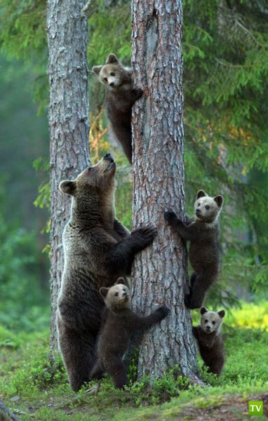 �������� �������� ����� � �������� �������� (45 ����)