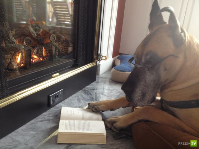 �������� �������� ����� � �������� �������� (45 ����)