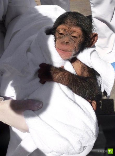 �������� �������� ����� � �������� �������� (45 ����)