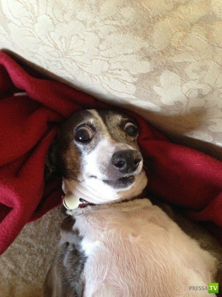 �������� �������� ����� � �������� �������� (45 ����)