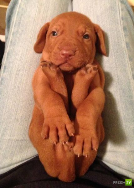 �������� �������� ����� � �������� �������� (45 ����)