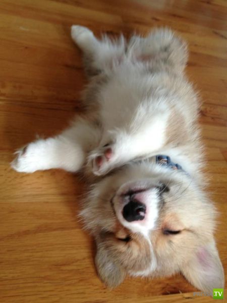 �������� �������� ����� � �������� �������� (45 ����)