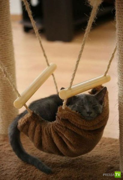 �������� �������� ����� � �������� �������� (45 ����)