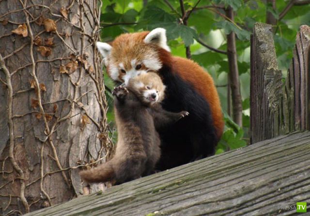 �������� �������� ����� � �������� �������� (45 ����)