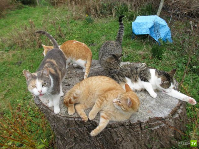 �������� �������� ����� � �������� �������� (45 ����)