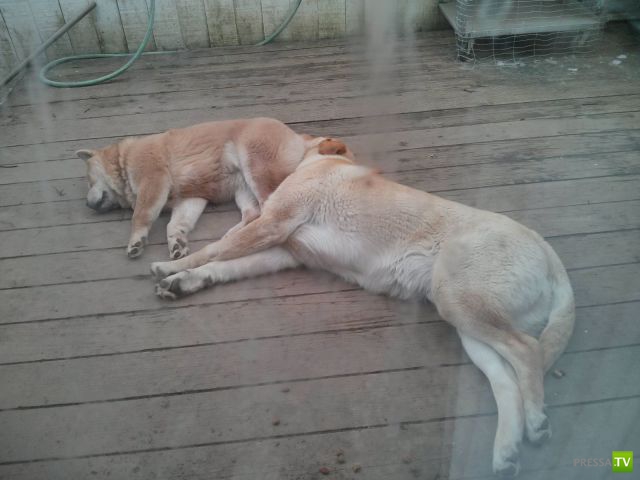 �������� �������� ����� � �������� �������� (45 ����)