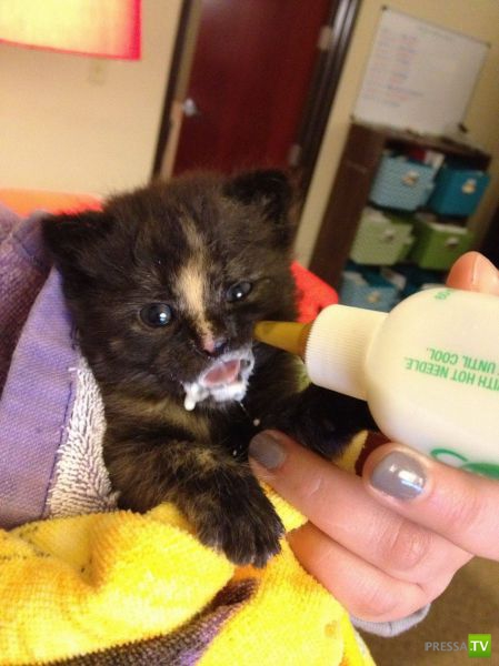 �������� �������� ����� � �������� �������� (45 ����)