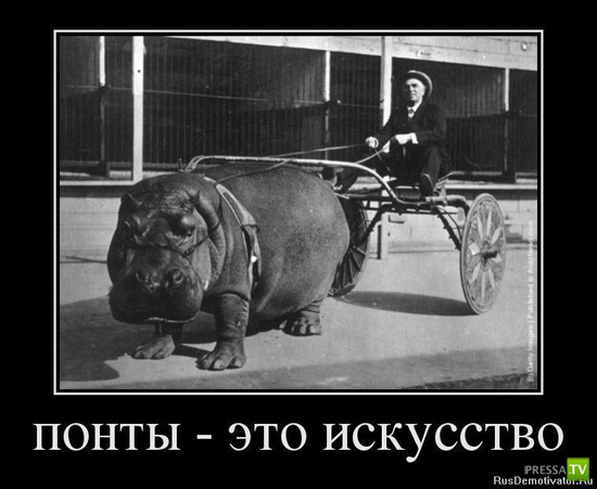 ��������, � �� ����... ����� �� �������� ��� ������ ������ ���� ������ (2 ����)