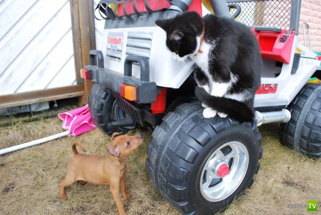 ����� � �������� ��������, ����� 2 (50 ����)