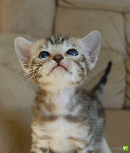 ����� � �������� ��������, ����� 2 (50 ����)