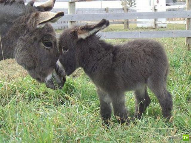 ����� � �������� ��������, ����� 2 (50 ����)