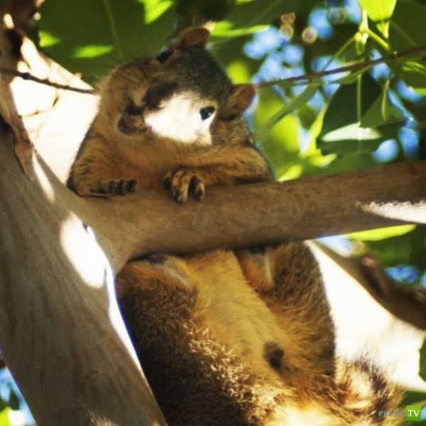 ����� � �������� ��������, ����� 2 (50 ����)