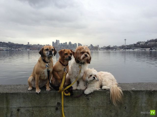 ����� � �������� ��������, ����� 2 (50 ����)