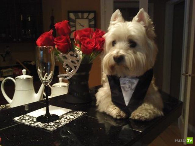 ����� � �������� ��������, ����� 2 (50 ����)