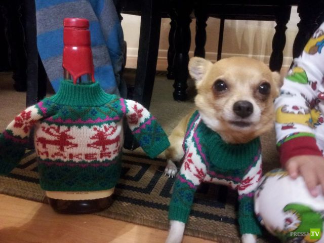 ����� � �������� ��������, ����� 2 (50 ����)