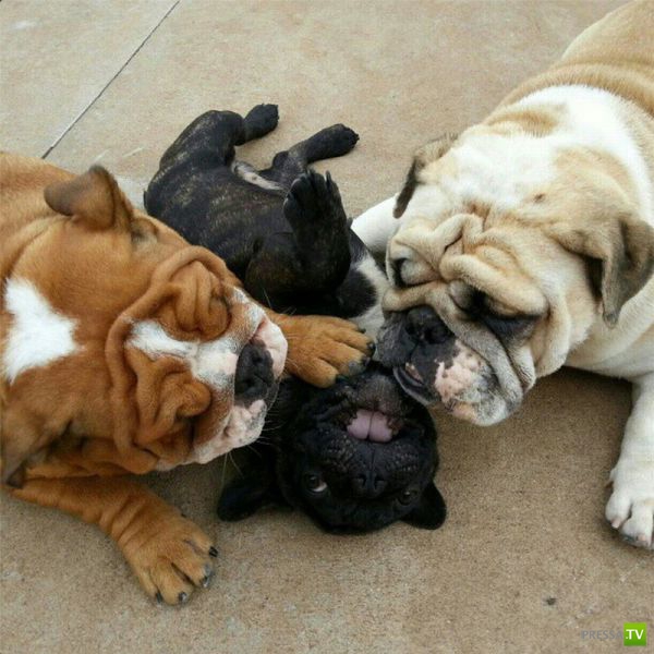 ����� � �������� ��������, ����� 2 (50 ����)