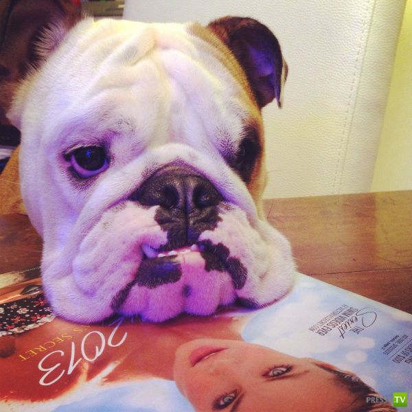 ����� � �������� ��������, ����� 2 (50 ����)